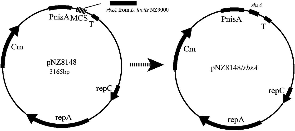 Acid-stress-resisting component
