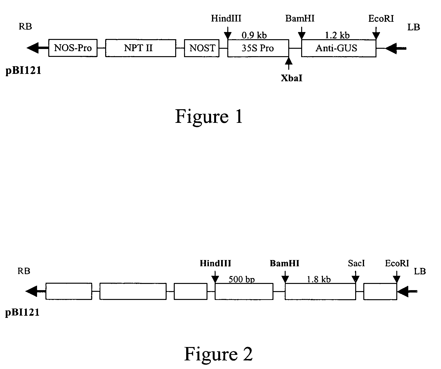 Regulation of gene expression in plant cells