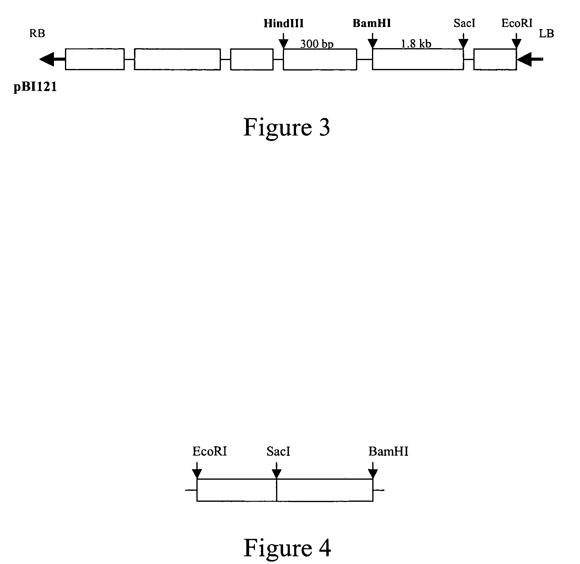 Regulation of gene expression in plant cells