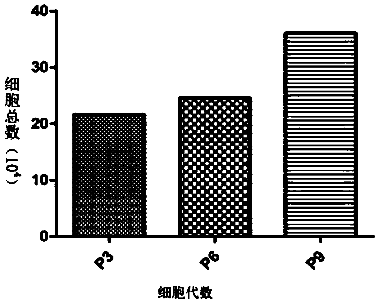 Application of horse fat mesenchymal stem cells in preparing drug for treating horse injury