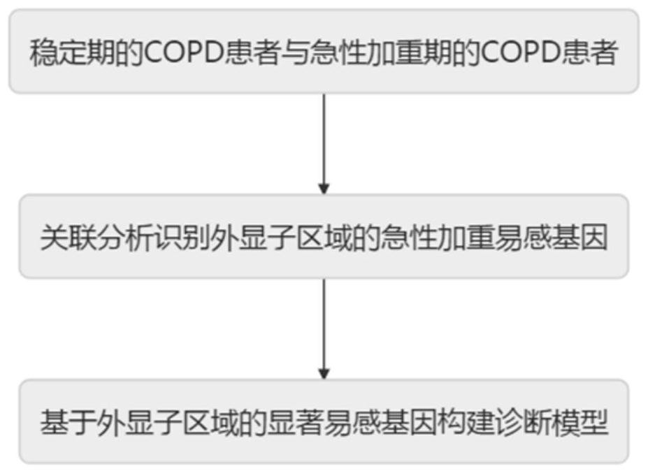 Risk prediction method for improving diagnosis accuracy of acute exacerbation state of chronic obstructive pulmonary disease