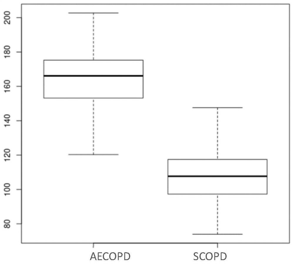 Risk prediction method for improving diagnosis accuracy of acute exacerbation state of chronic obstructive pulmonary disease