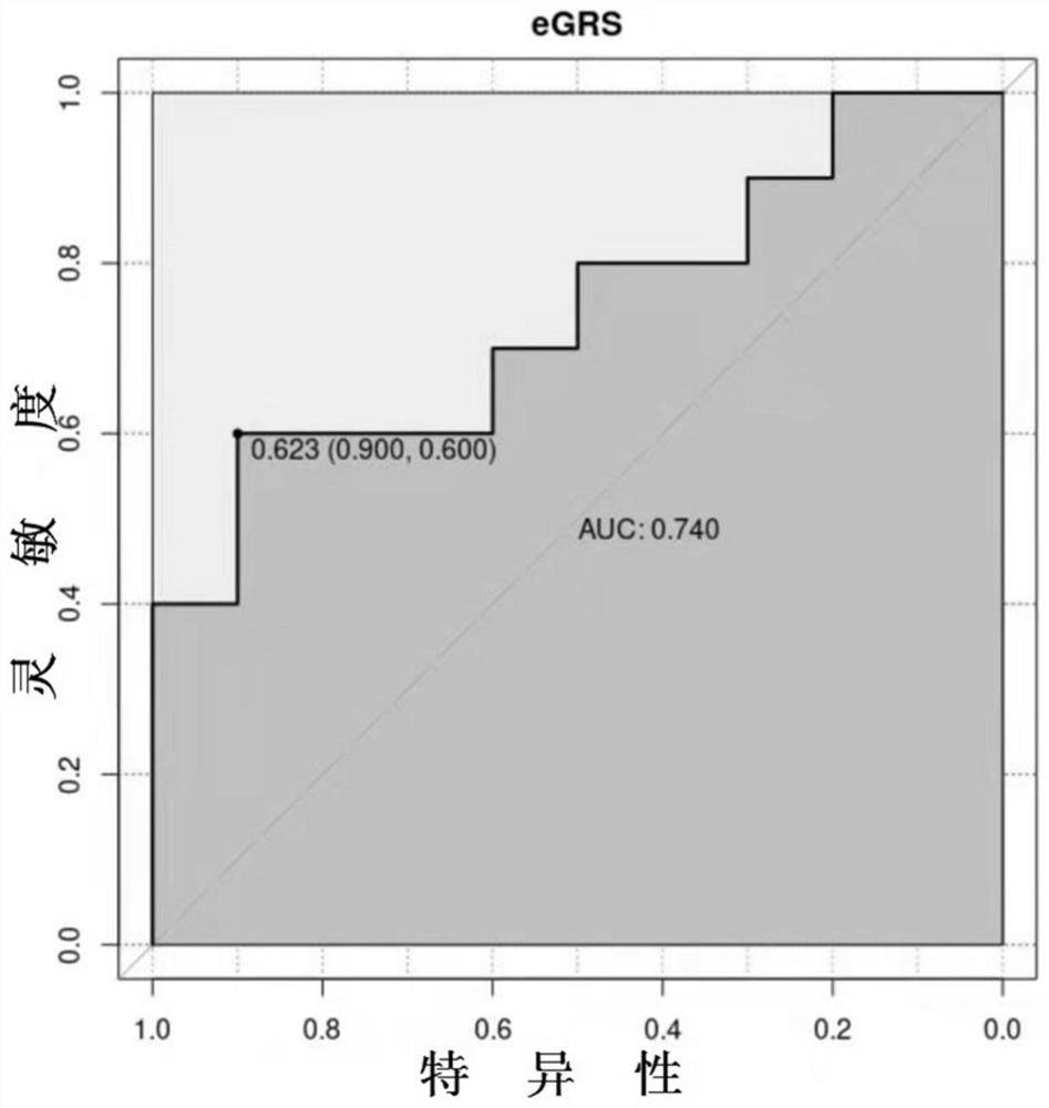 Risk prediction method for improving diagnosis accuracy of acute exacerbation state of chronic obstructive pulmonary disease