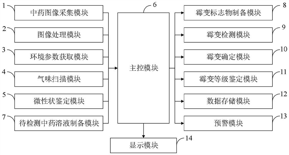 Traditional Chinese medicine mildew detection method and detection system