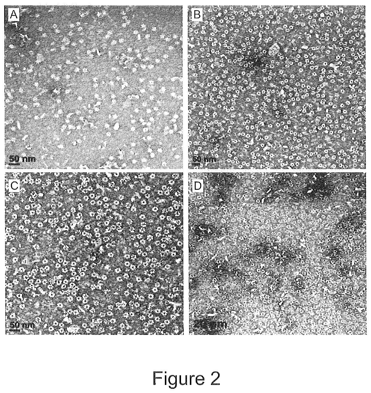 Targeting of melanocytes for delivering therapeutic or diagnostic agents using protein nanocages