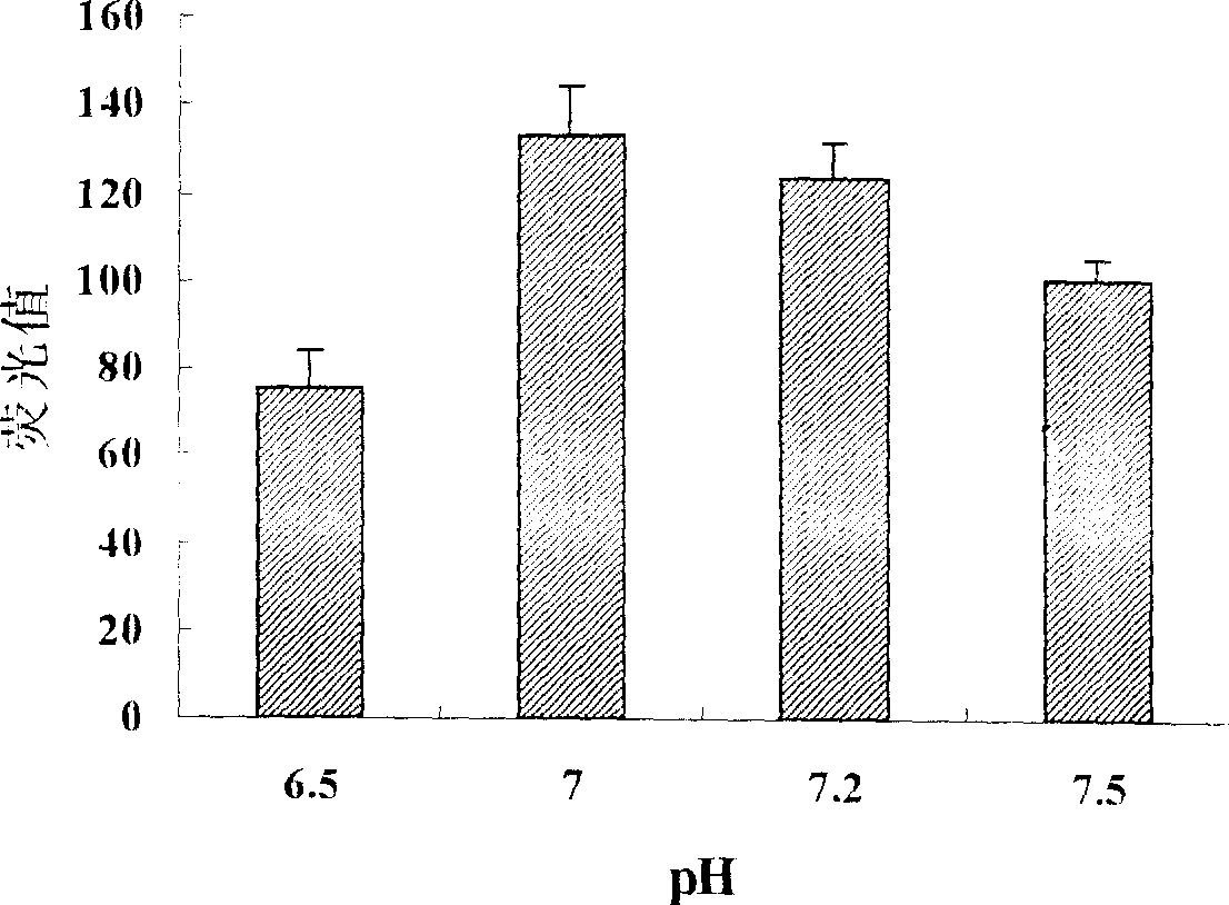 Non-viral gene transfection carrier and its preparation method and use