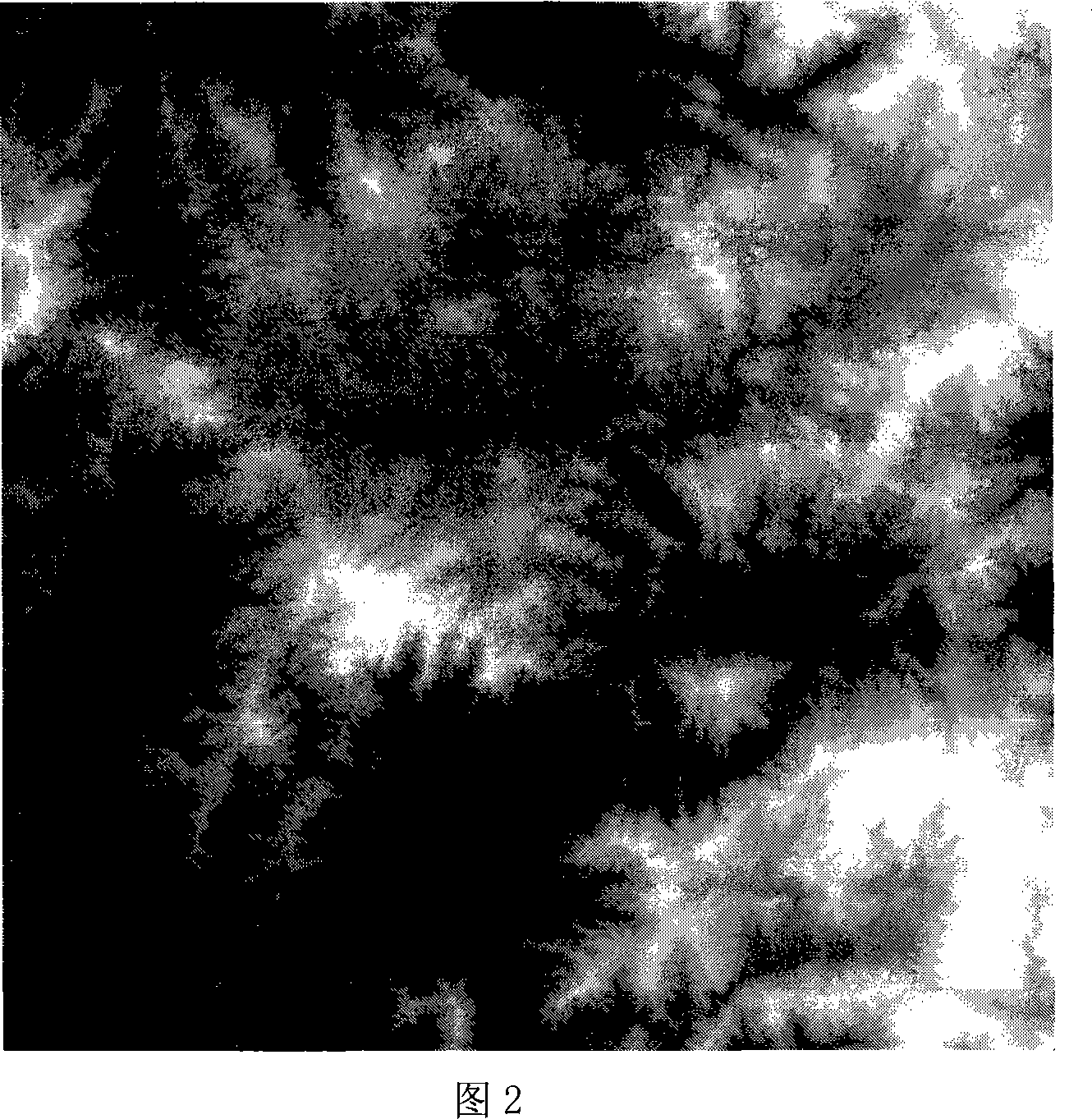 Method for eliminating shadow on remote sensing digital image and recovering picture element remote sensing value in shadow