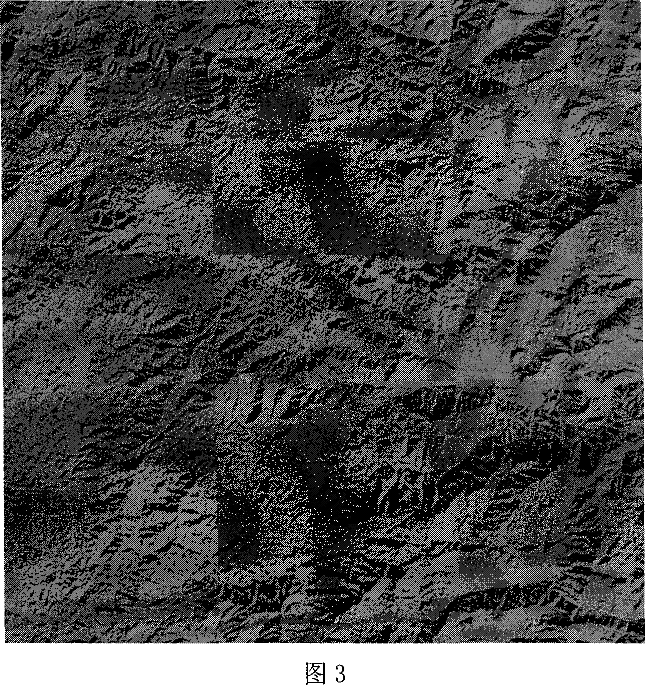 Method for eliminating shadow on remote sensing digital image and recovering picture element remote sensing value in shadow