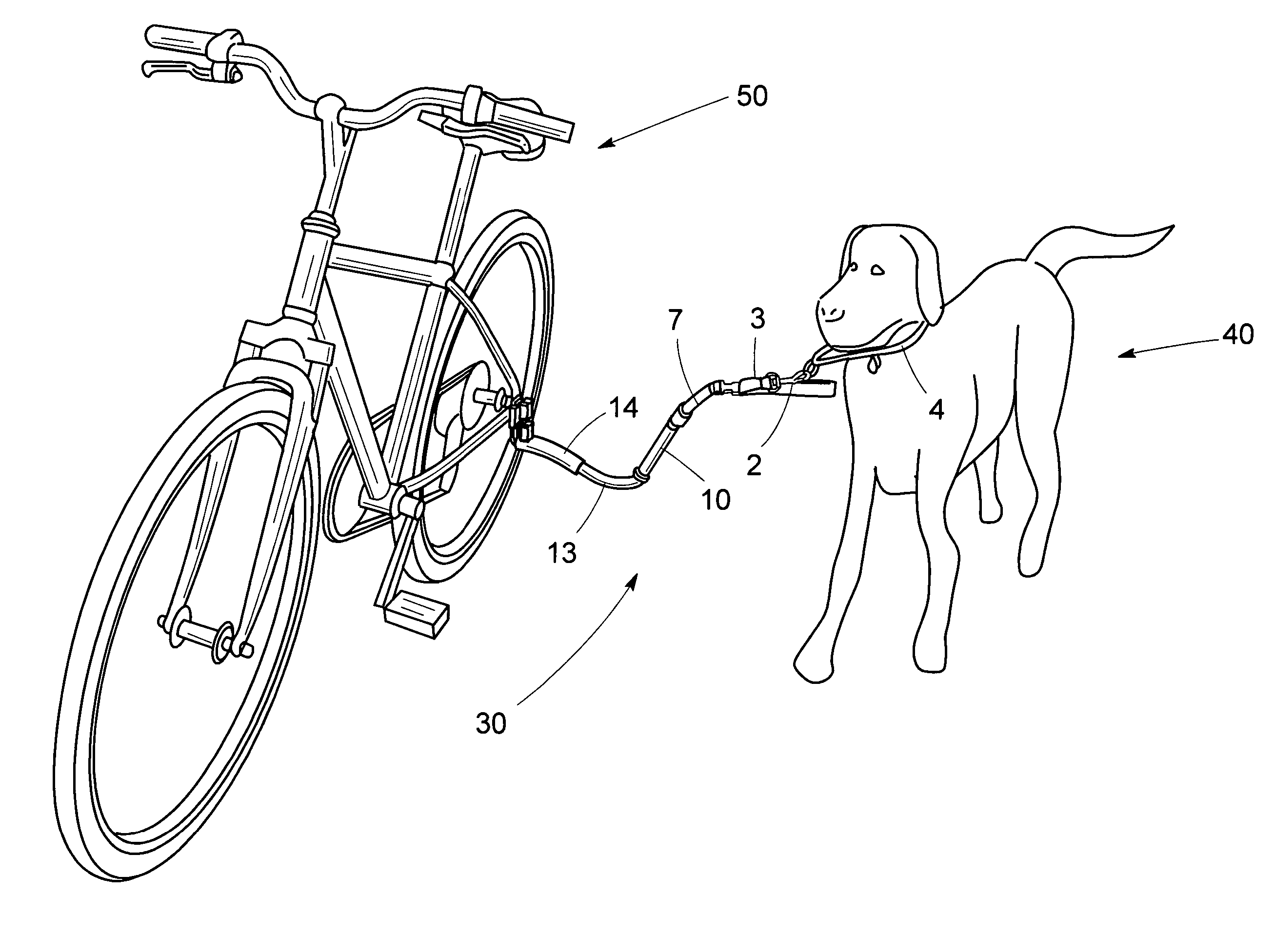 Dog leash for use on bicycle