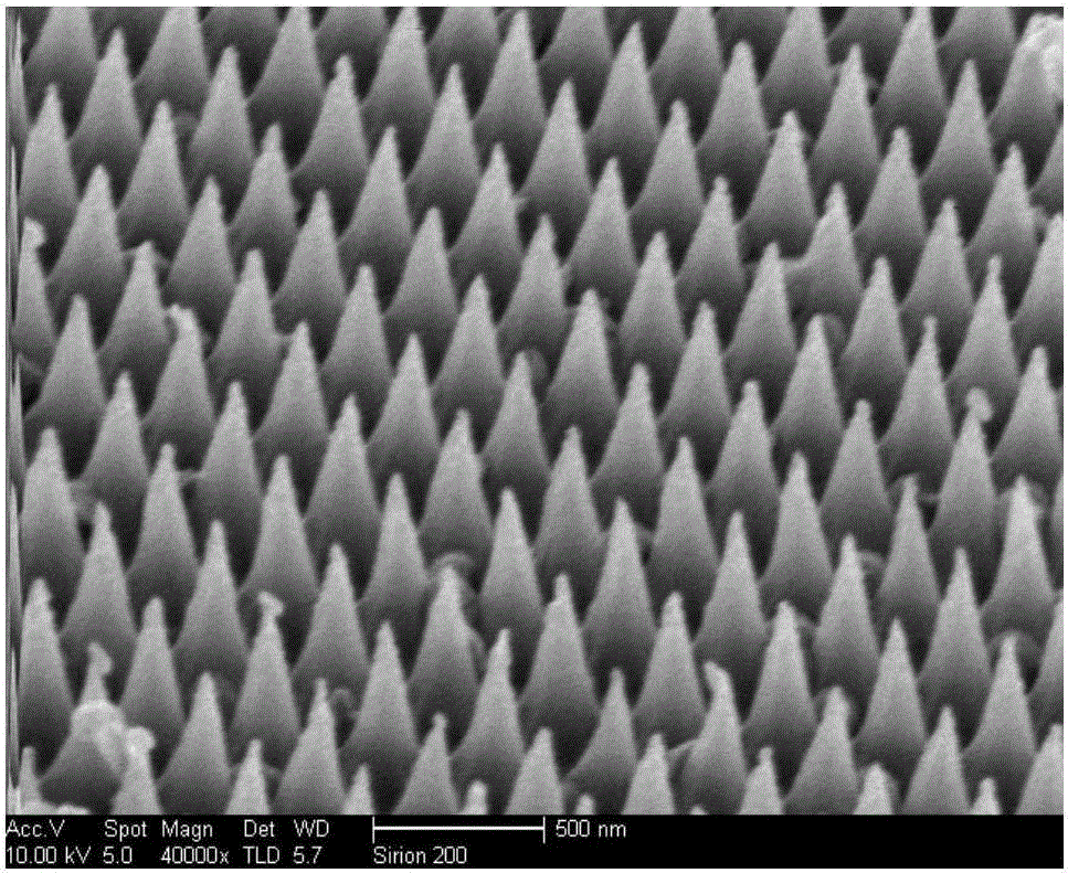 Silicon nano cone array coated with gold film as well as preparation method and application thereof