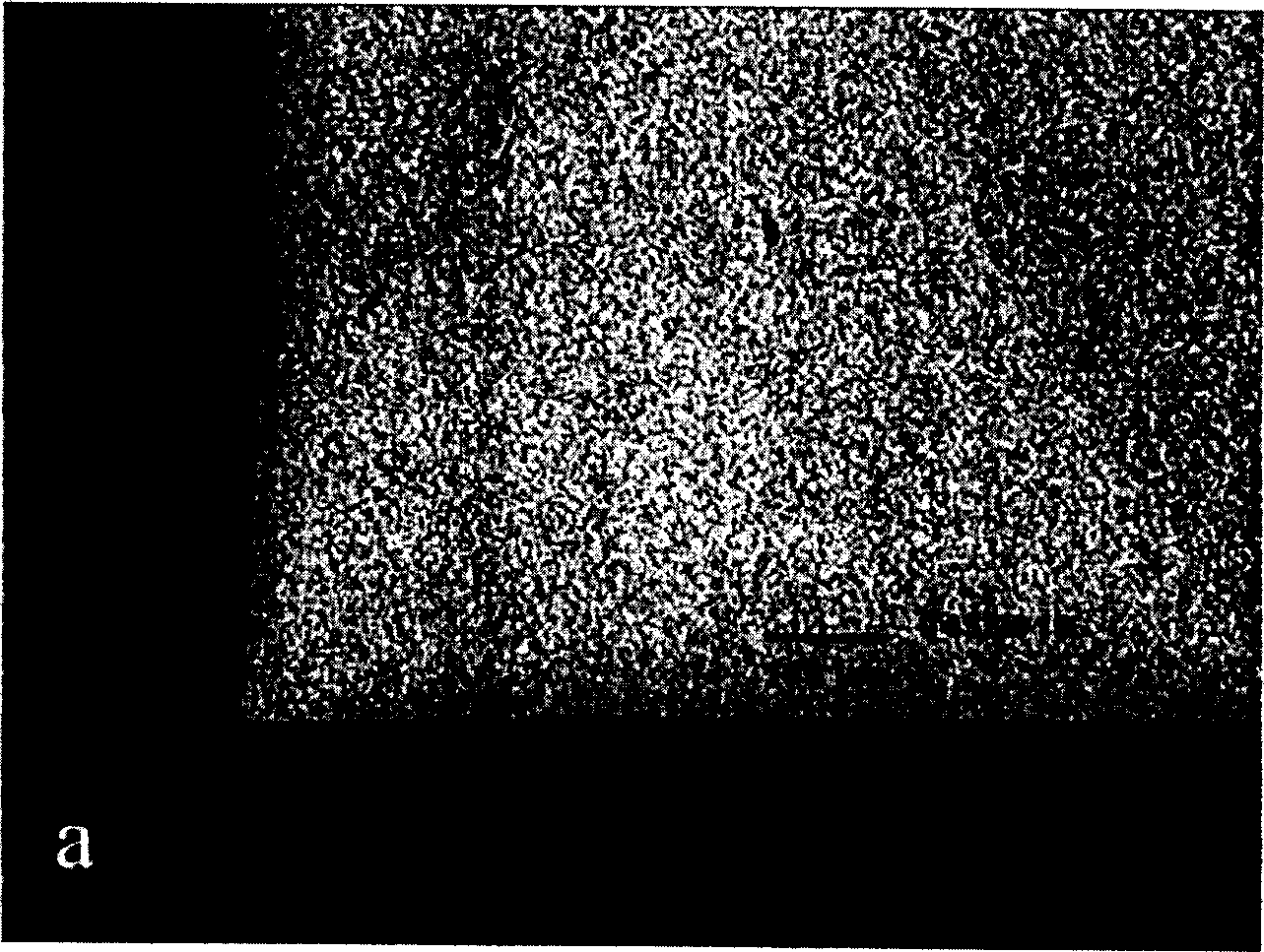 Fine grained sintered cemented carbides containing a gradient zone