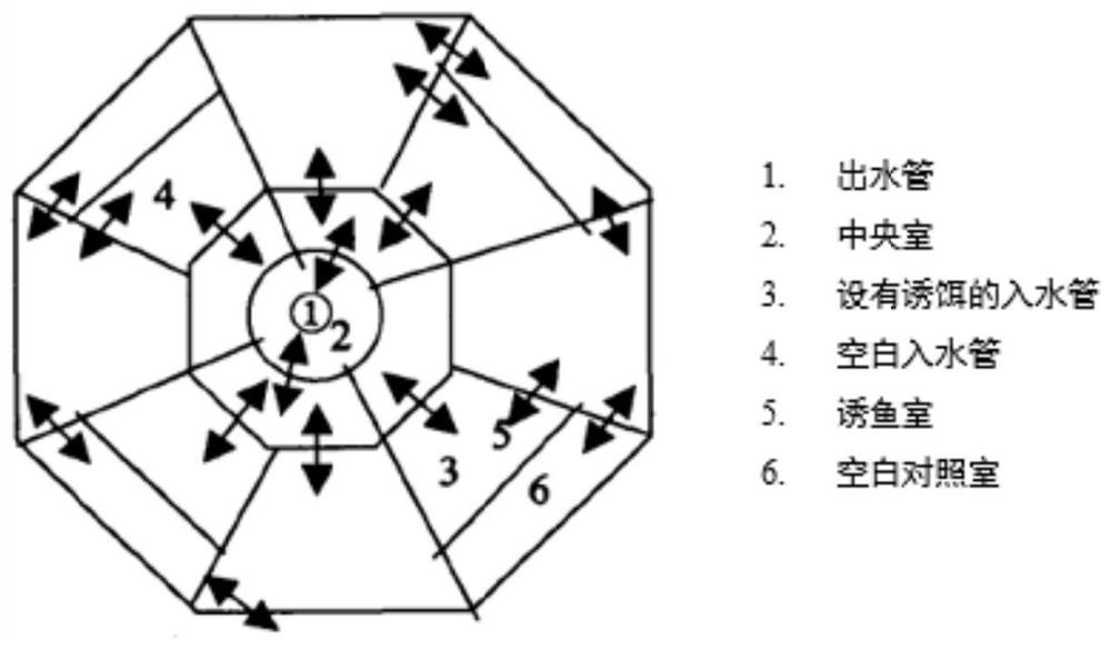 Food intake promoting composition capable of improving food intake of pelteobagrus fulvidraco and application of food intake promoting composition