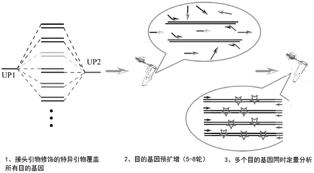 A method and its application of one-time accurate quantification of alkane hydroxylase gene alkb