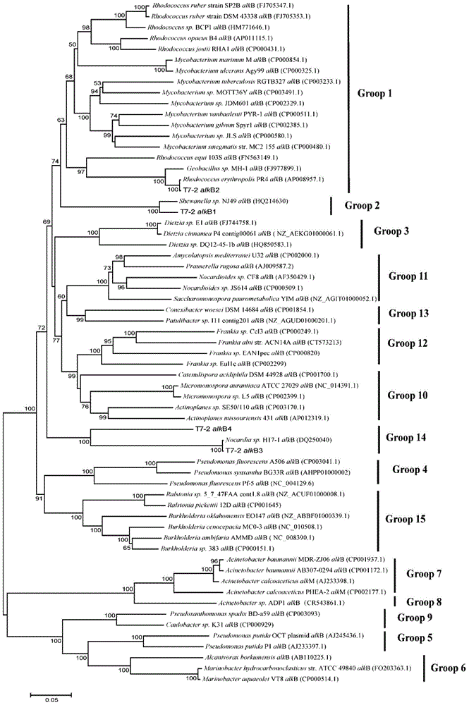 A method and its application of one-time accurate quantification of alkane hydroxylase gene alkb