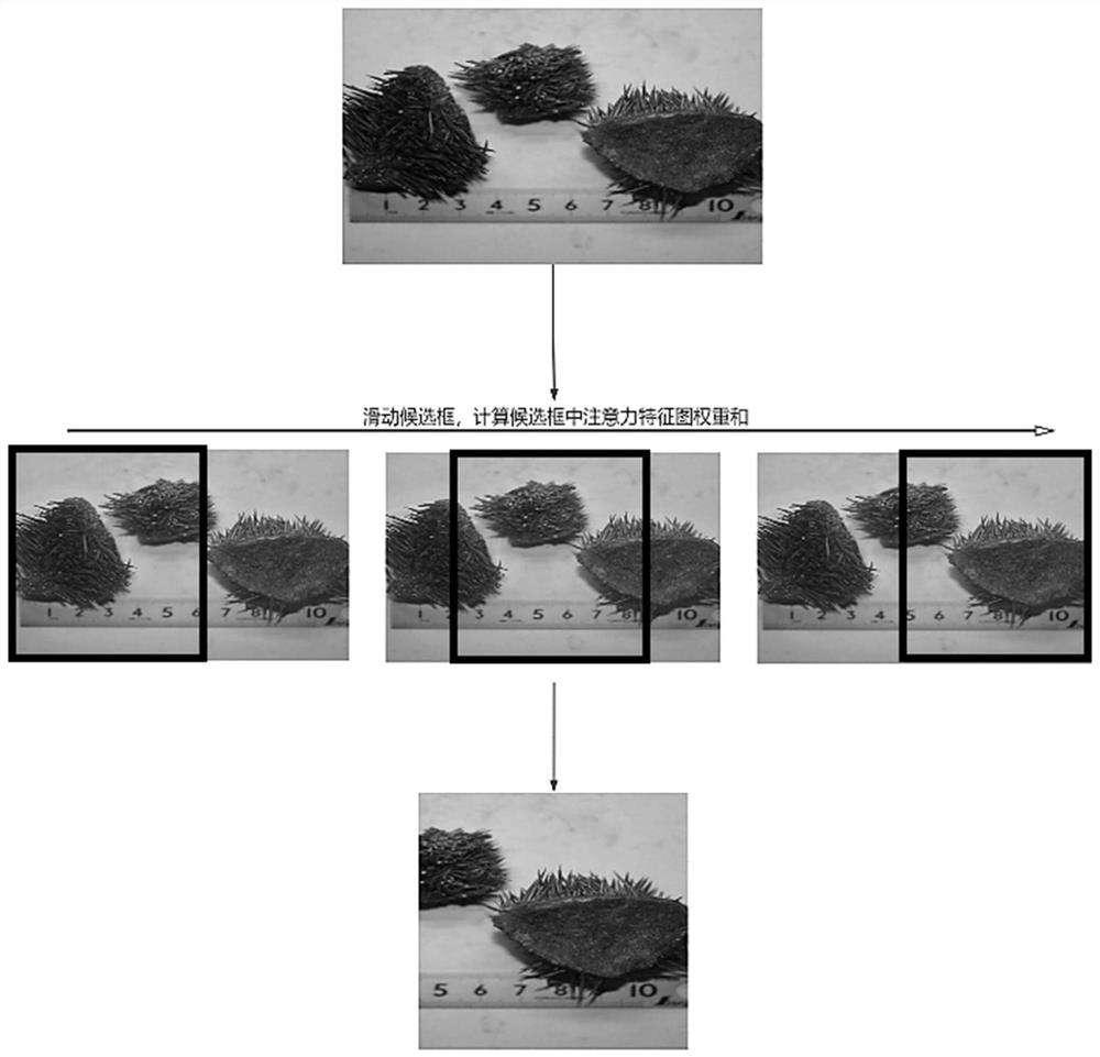 Heuristic image scale normalization method based on attention mechanism