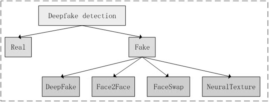 Face forgery detection method based on image domain and frequency domain double-flow network