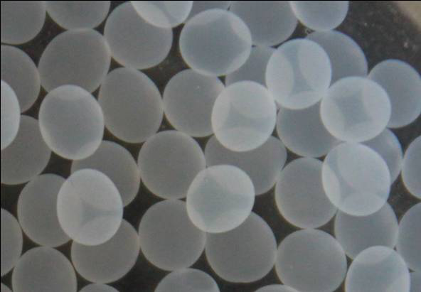 Preparation method of gossypol acetate calcium alginate gel microspheres