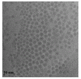 A kind of preparation method of monodisperse solidified micelle particle