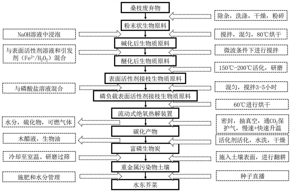 Preparation and application of a phosphorus-rich biochar based on mulberry branch waste