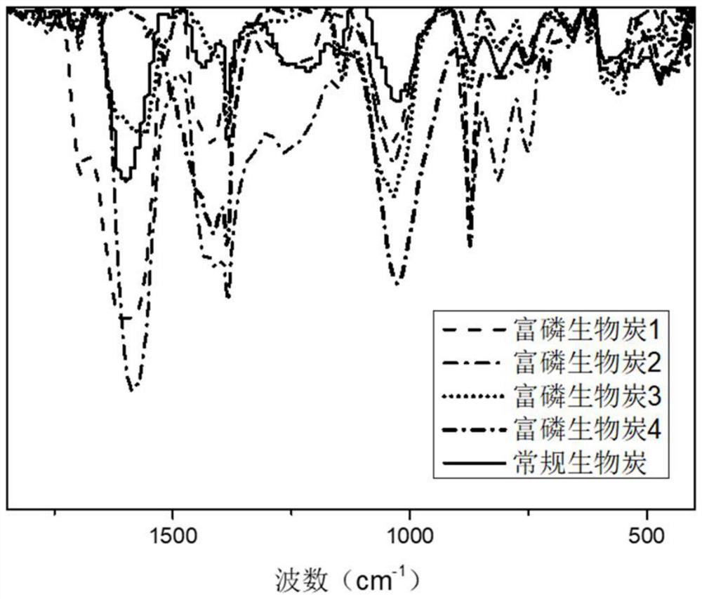 Preparation and application of a phosphorus-rich biochar based on mulberry branch waste