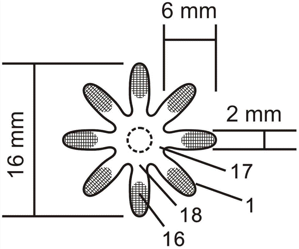 Microfluidic paper base chip for detecting antibody to hepatitis C virus as well as preparation method of chip