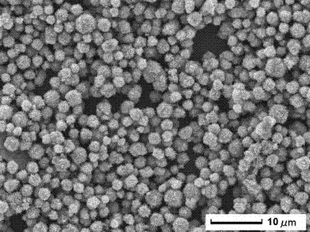Method for preparing zinc oxide micron sphere