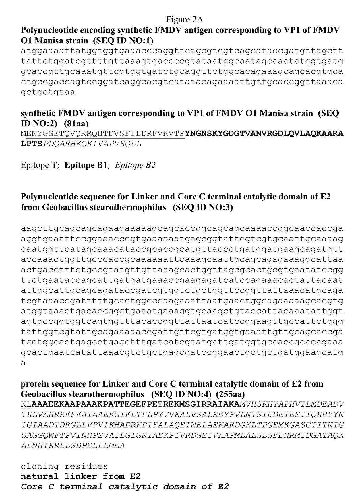 FMDV and E2 fusion proteins and uses thereof