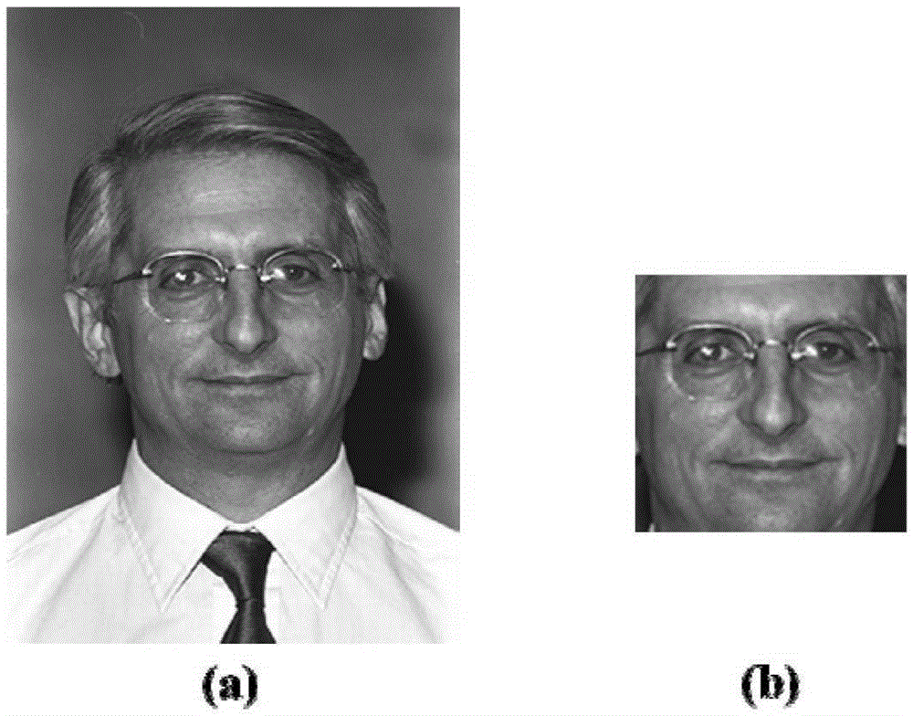 Face Recognition Method Based on Multi-order Local Salient Pattern Feature Statistics