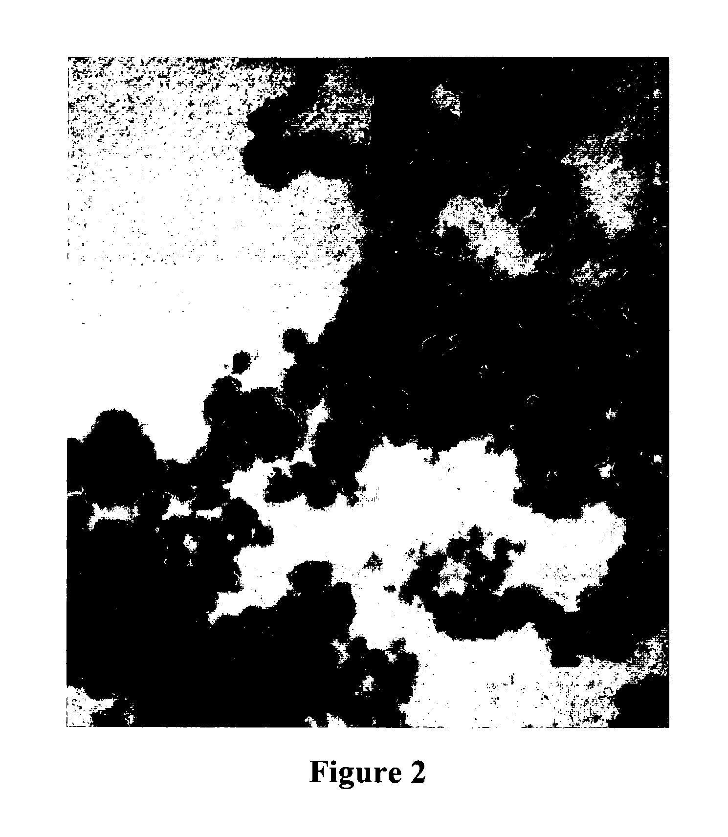 Compositions of nanometal particles containing a metal or alloy and platinum particles for use in fuel cells