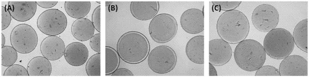 Alginate-based-polycationic microcapsule and applications thereof in embedding bioactive substance