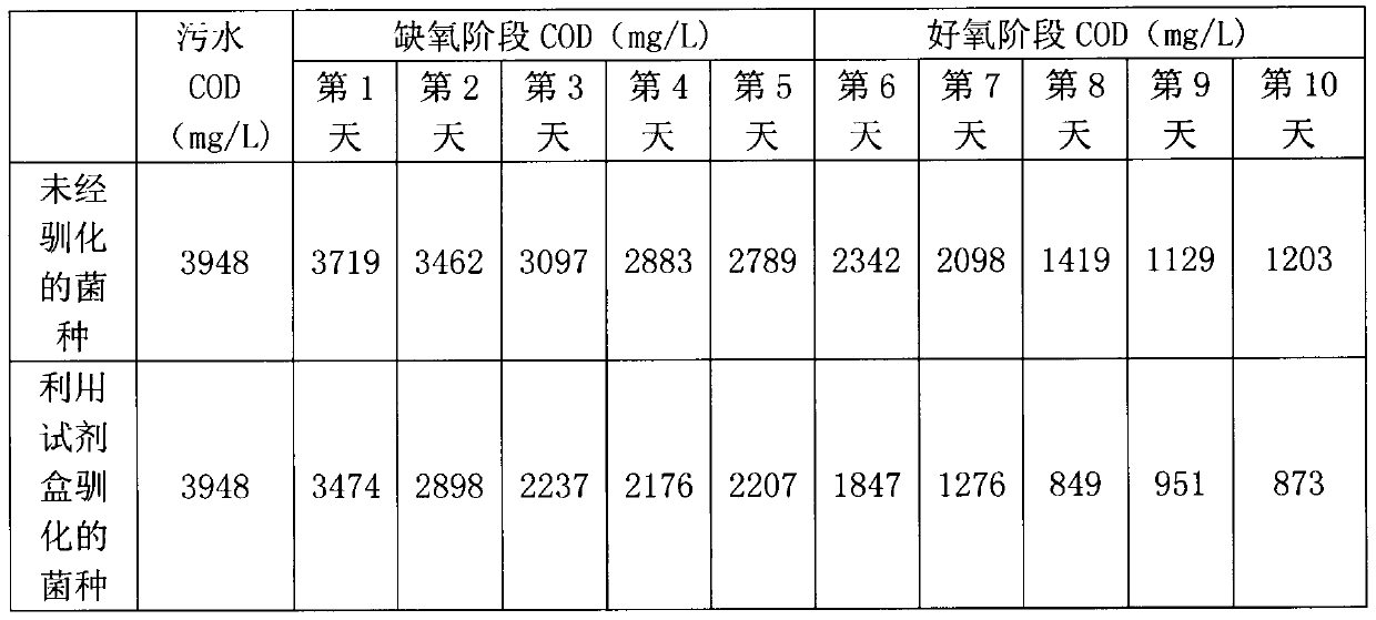 Bacteria domestication kit and domestication method for cod degradation of coal coking wastewater