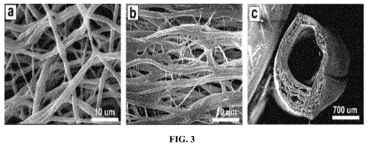 Fibrous nerve conduit for promoting nerve regeneration