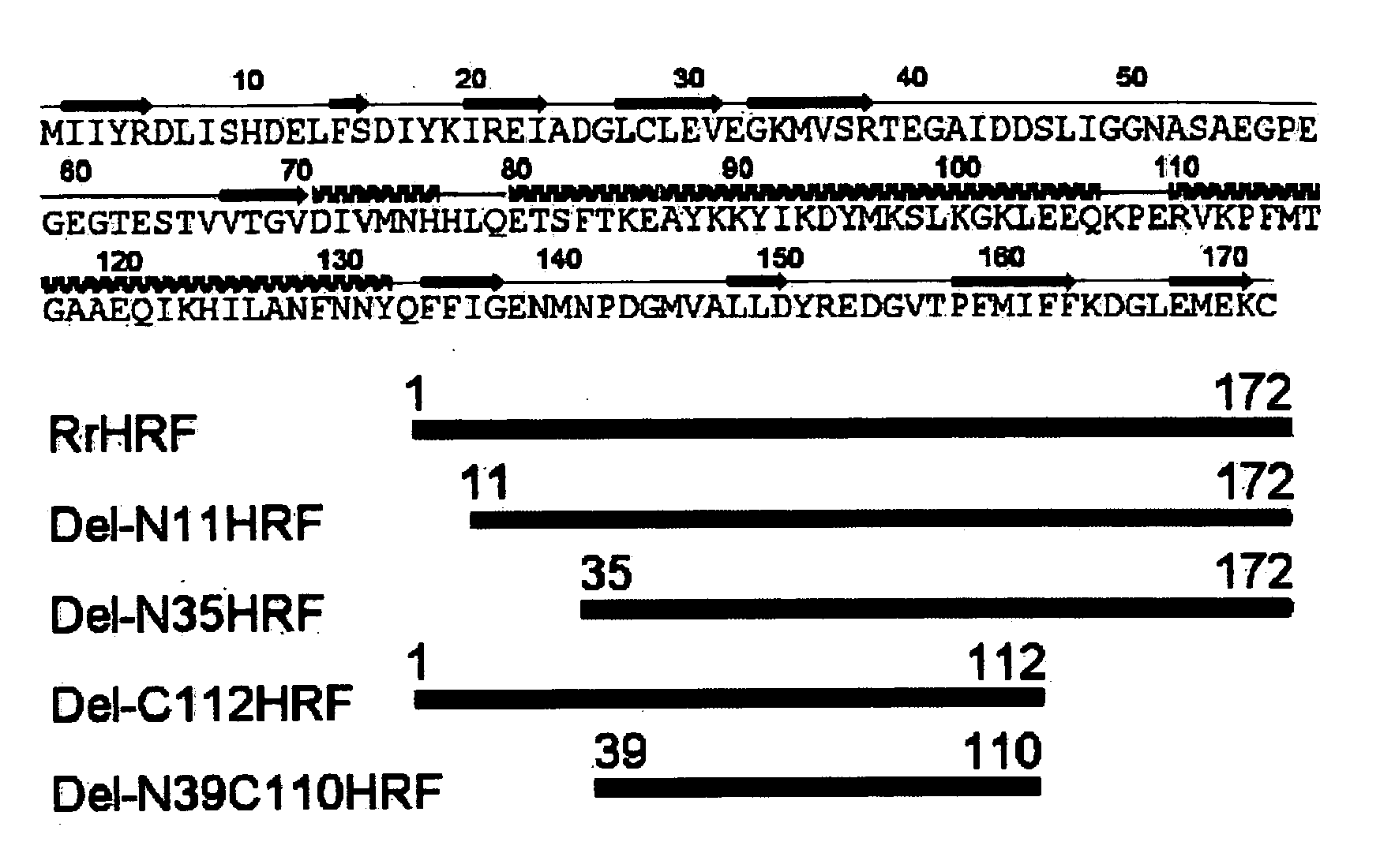DELETION FORMS OF IgE-DEPENDENT HISTAMINE RELEASING FACTOR HAVING HISTAMINE RELEASING ACTIVITY, HRF-BINDING PEPTIDES AND THE USES THEREOF