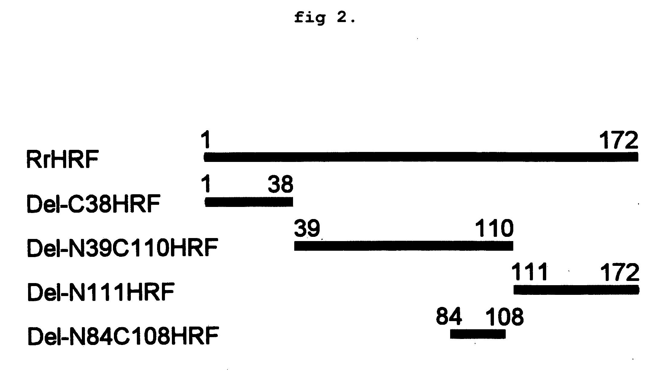 DELETION FORMS OF IgE-DEPENDENT HISTAMINE RELEASING FACTOR HAVING HISTAMINE RELEASING ACTIVITY, HRF-BINDING PEPTIDES AND THE USES THEREOF