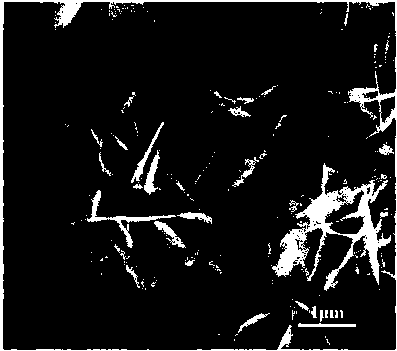 A noble metal/vertical growth hydrotalcite nanosheet methanol fuel cell catalyst and preparation method thereof