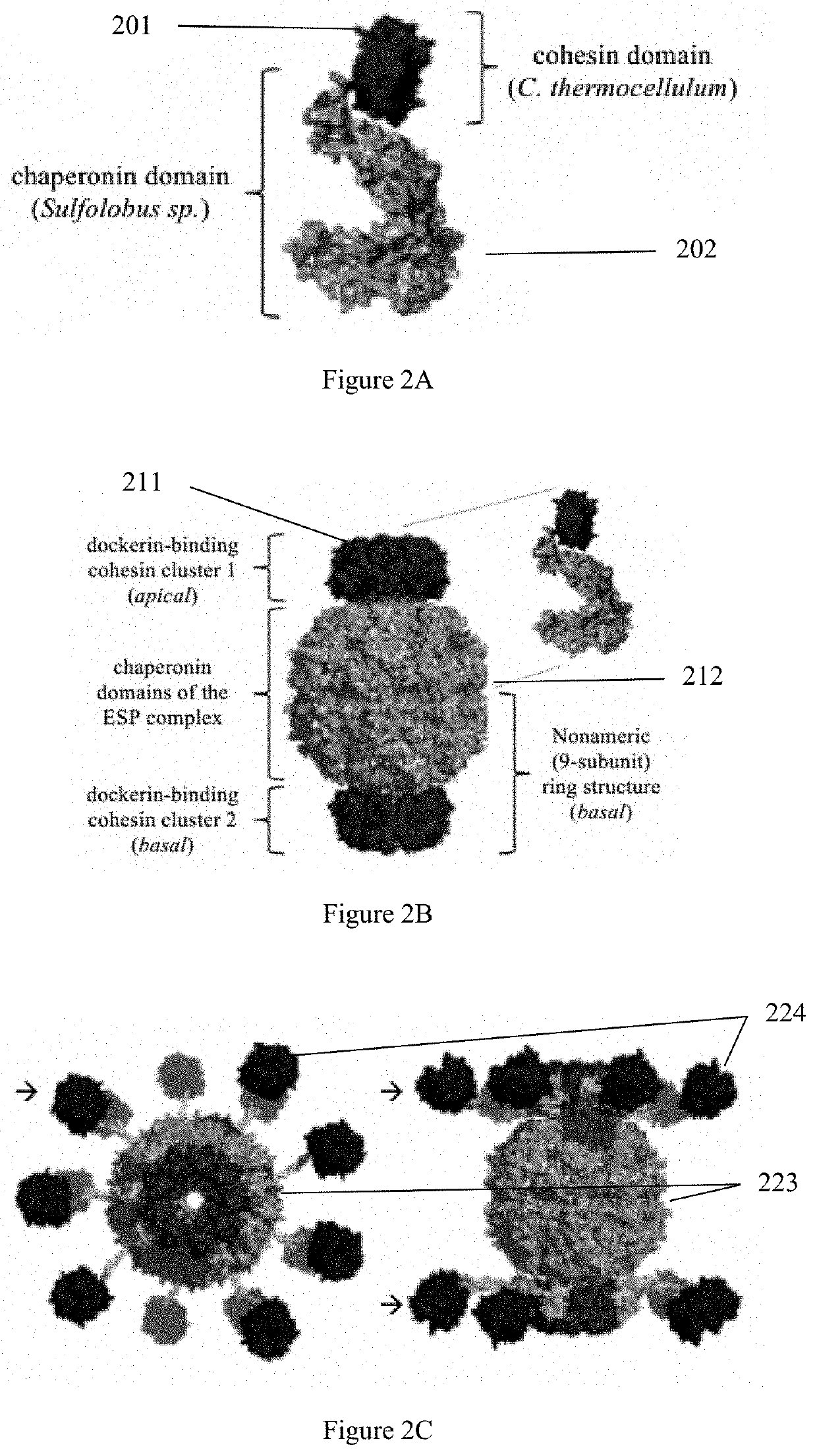 Methods and systems for enhancing feed-conversion-ratio in animals using mobile enzyme sequestration platforms (MSEP)