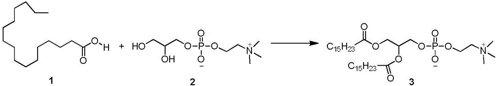 Preparation method of synthetic phospholipid DPPC (dipalmitoyl phosphatidylcholine)