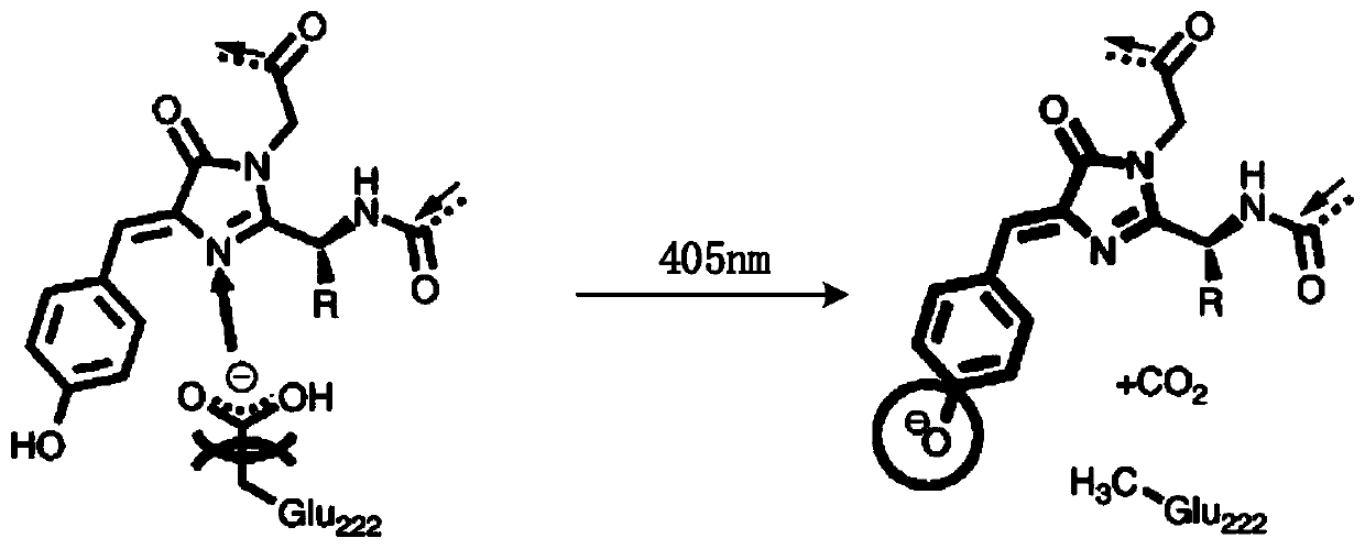 A method of tomographic imaging