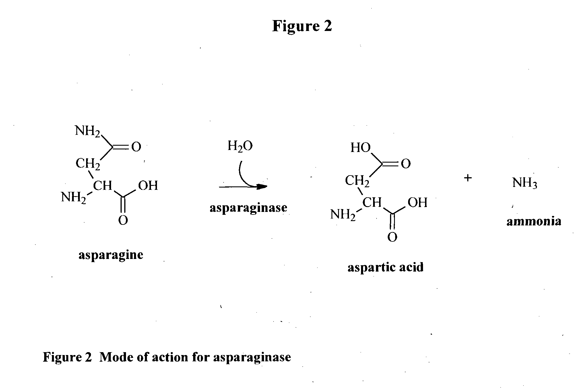 Method for reduction of acrylamide in cocoa products, cocoa products having reduced levels reduced levels of acrylamide, and article of commerce