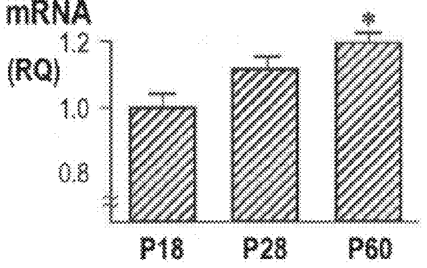 Methods for treating nicotinic acetylcholine receptor associated diseases