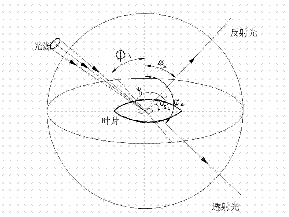 Device and method for detecting plant lamina three-dimensional light distribution