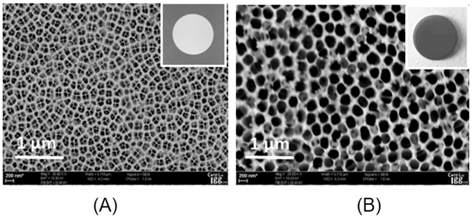 A surface-enhanced Raman scattering substrate and its preparation method and application