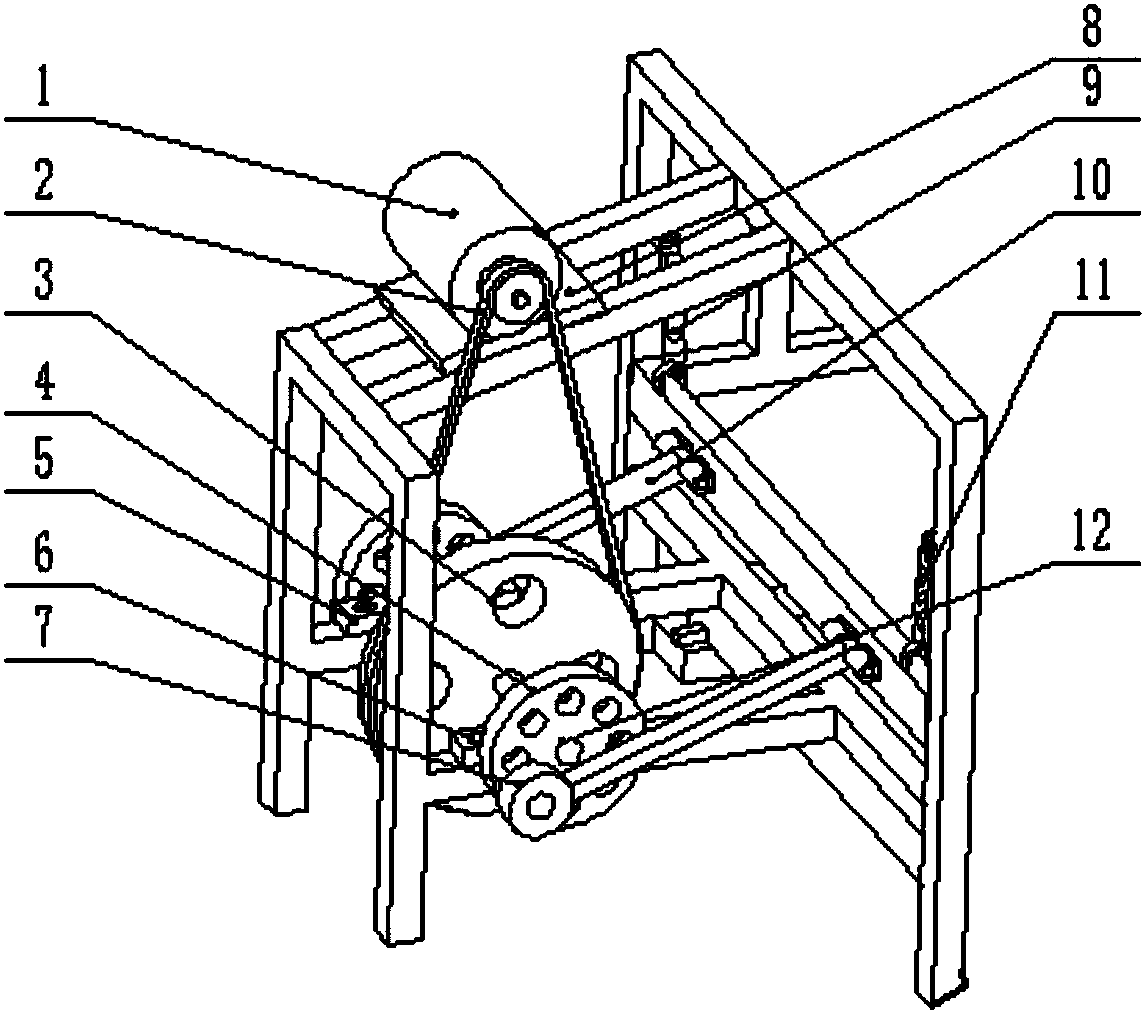 Automatic escargot screening and washing device