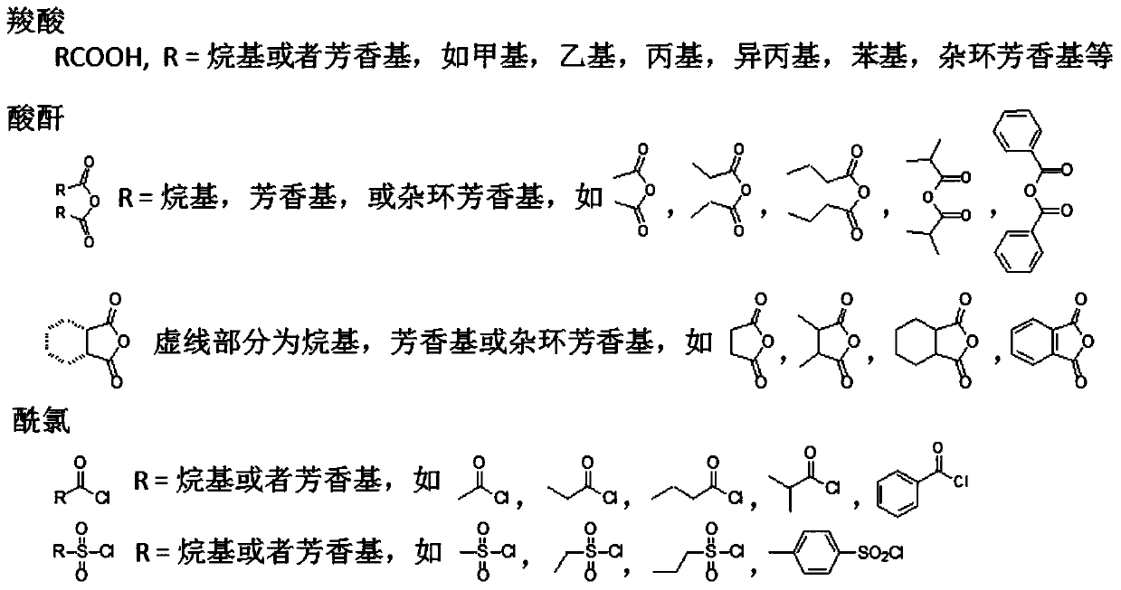 Method for identifying single methylated modification of lysine epsilon-amino group side chain