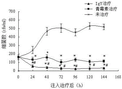 Compound preparation with egg yolk antibodies for resisting dairy cow mastitis and method for preparing compound preparation