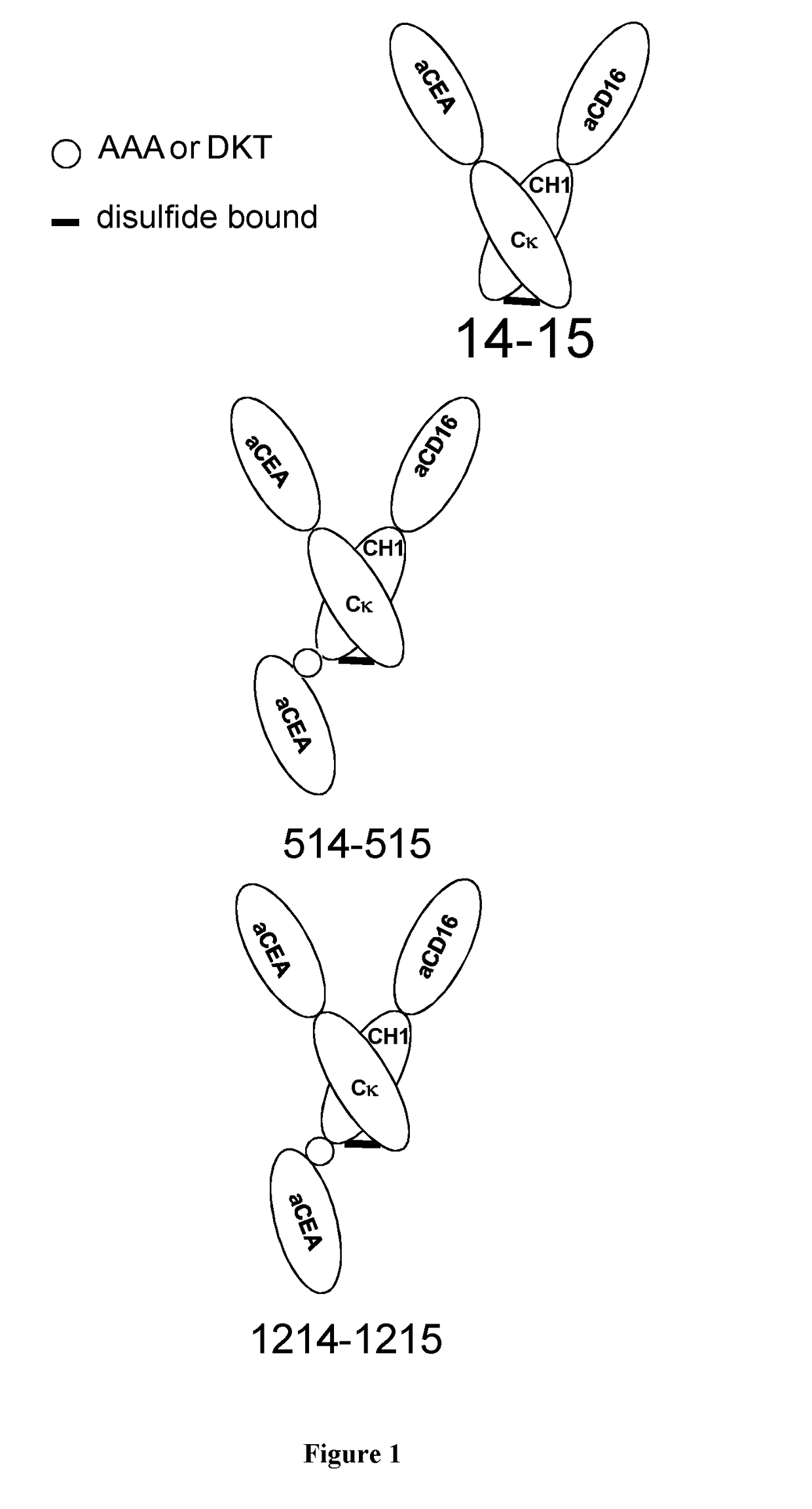 Antigen binding formats for use in therapeutic treatments or diagnostic assays