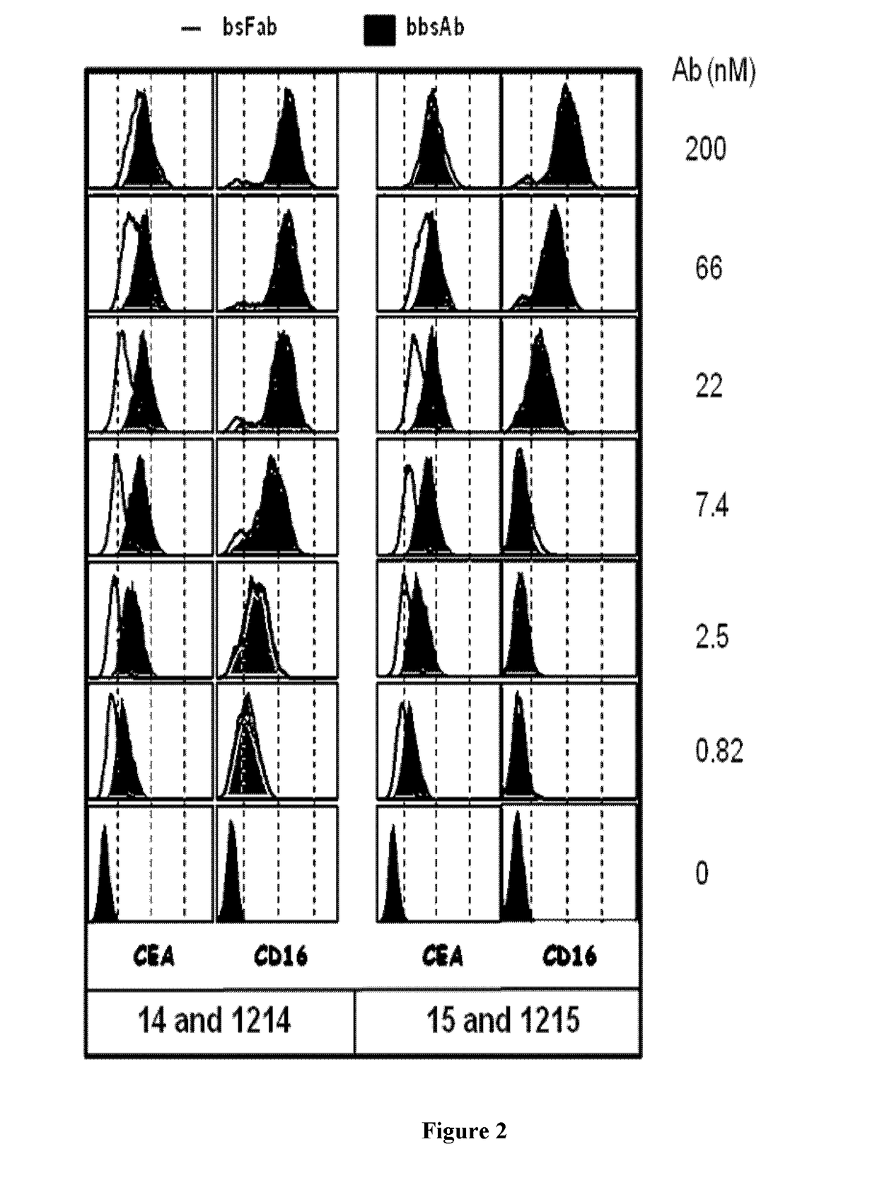 Antigen binding formats for use in therapeutic treatments or diagnostic assays