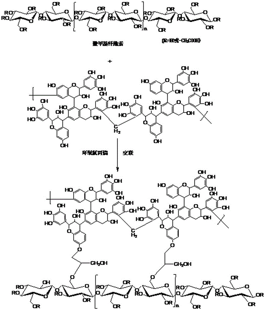 Preparation method of immobilized tannins adsorption resin