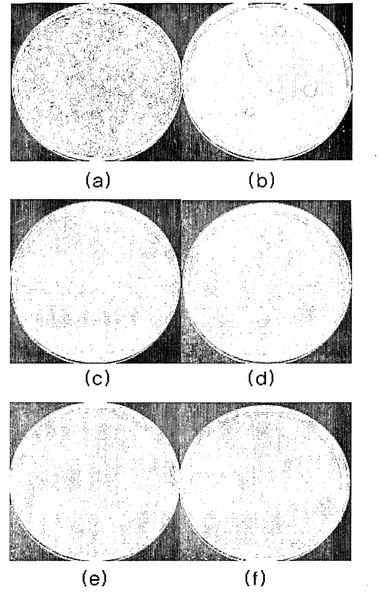 Antibacterial Composition Containing Organic Silver Complexes, Antibacterial Treatment Methods Using the Same and Antibacterial Formed Article
