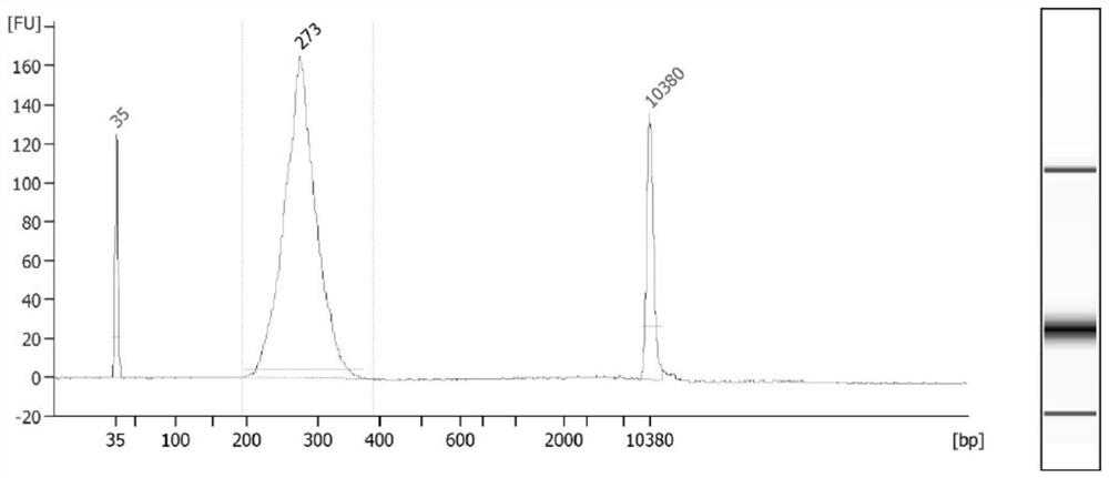 A method to detect nucleosome arrangement on the genome at the single-cell level